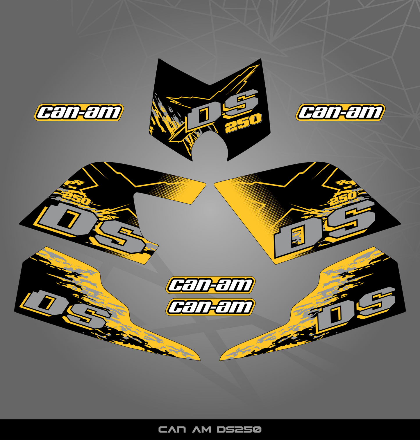 Partial Sticker Kit for Can Am DS 250