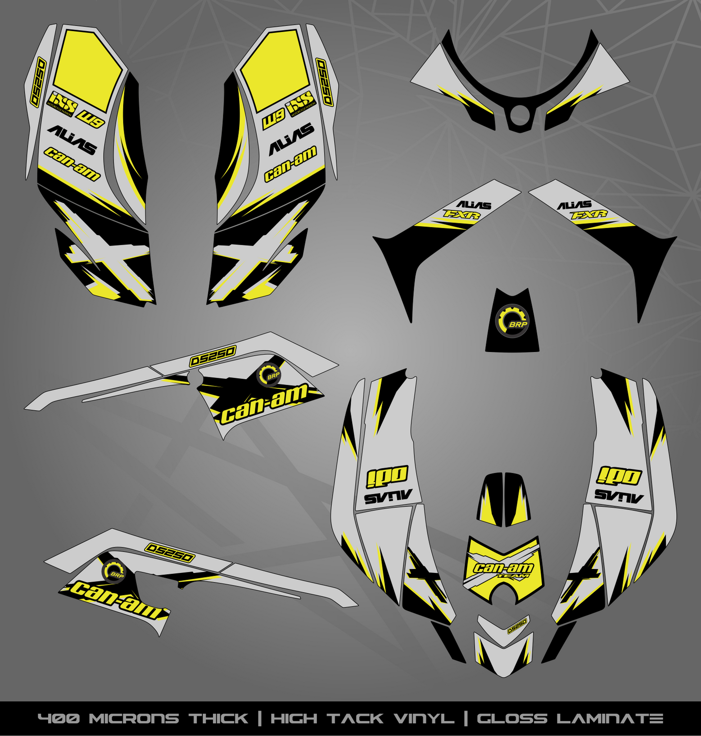 Full Sticker Kit for Can Am DS 250