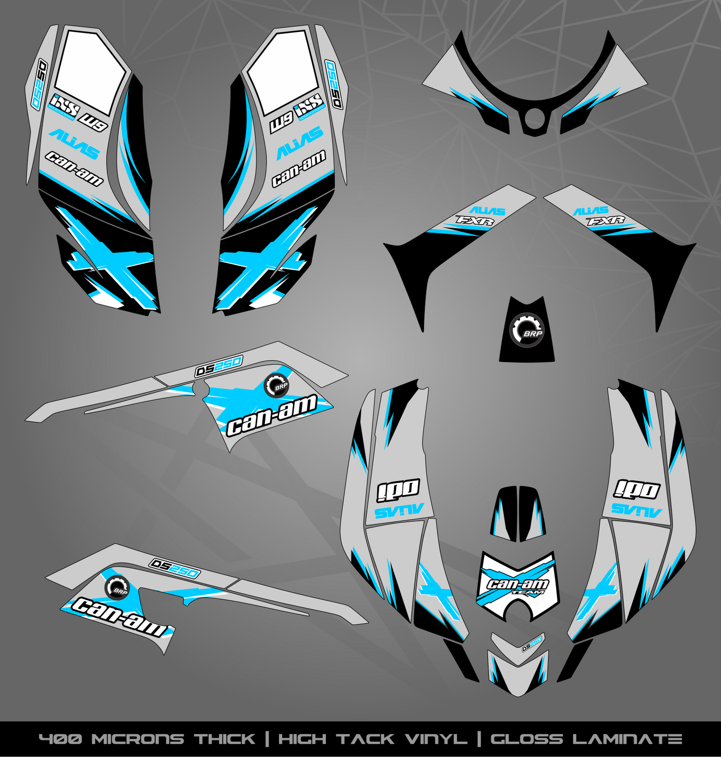 Full Sticker Kit for Can Am DS 250