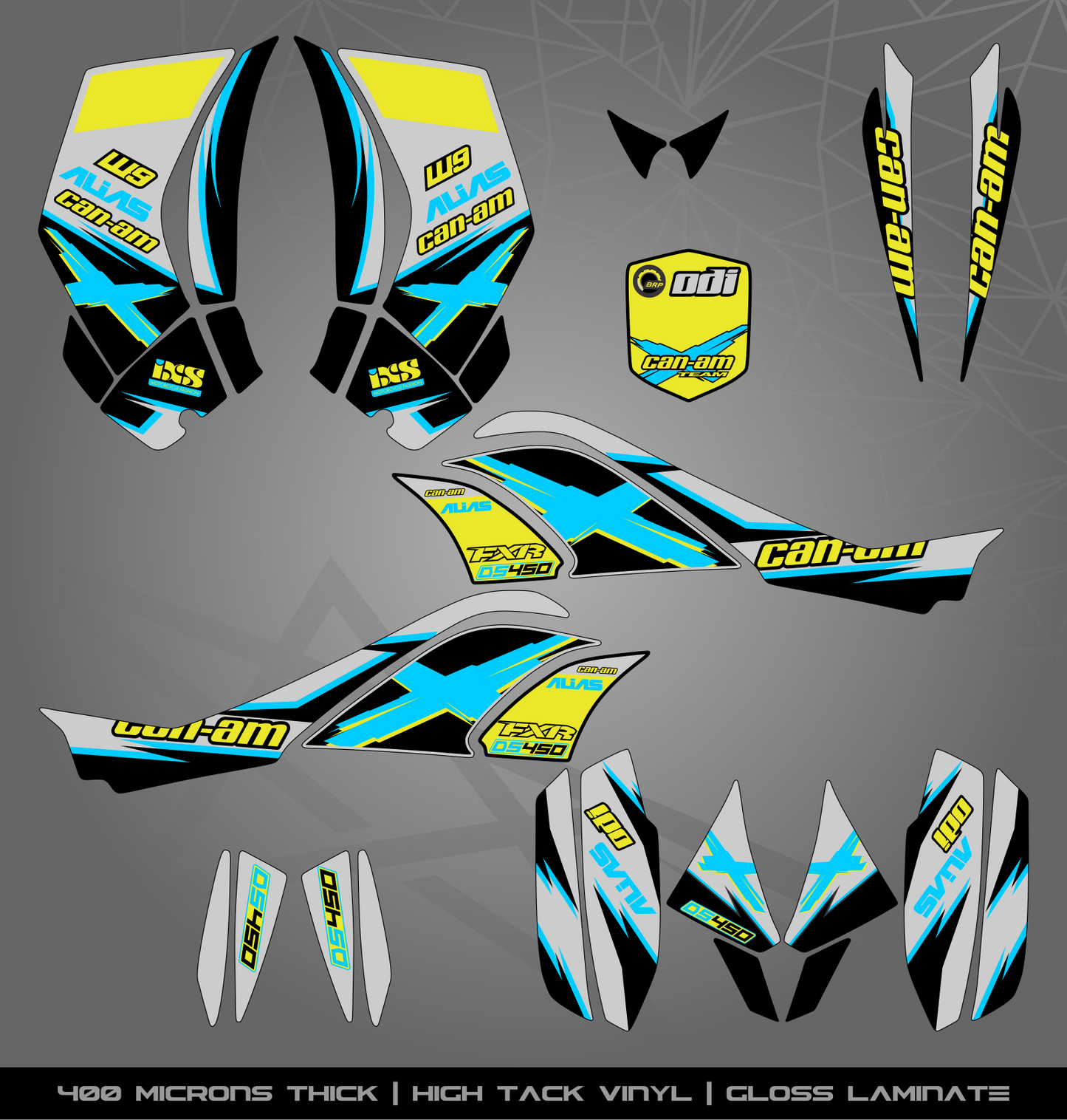 Full Sticker Kit for Can Am DS 450