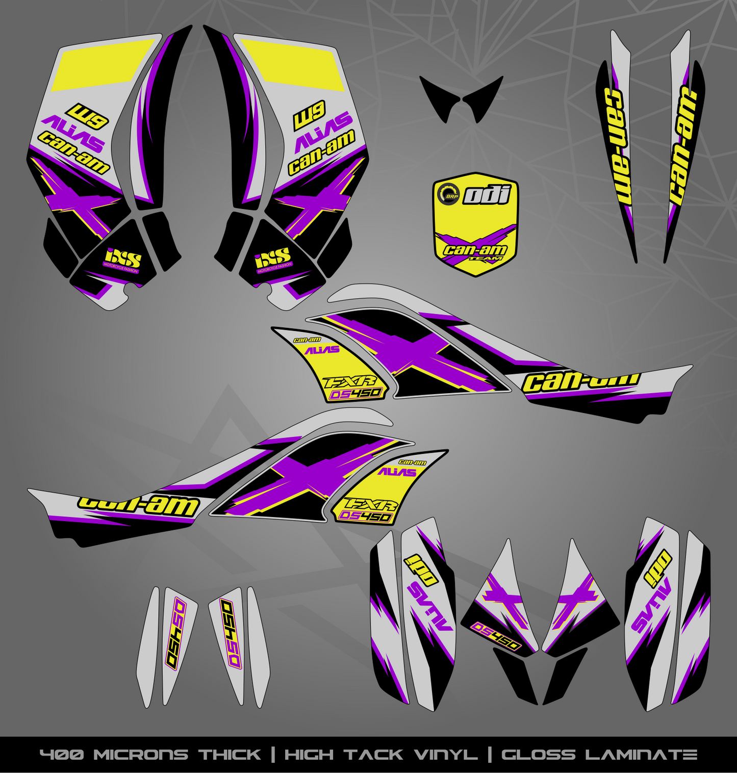 Full Sticker Kit for Can Am DS 450