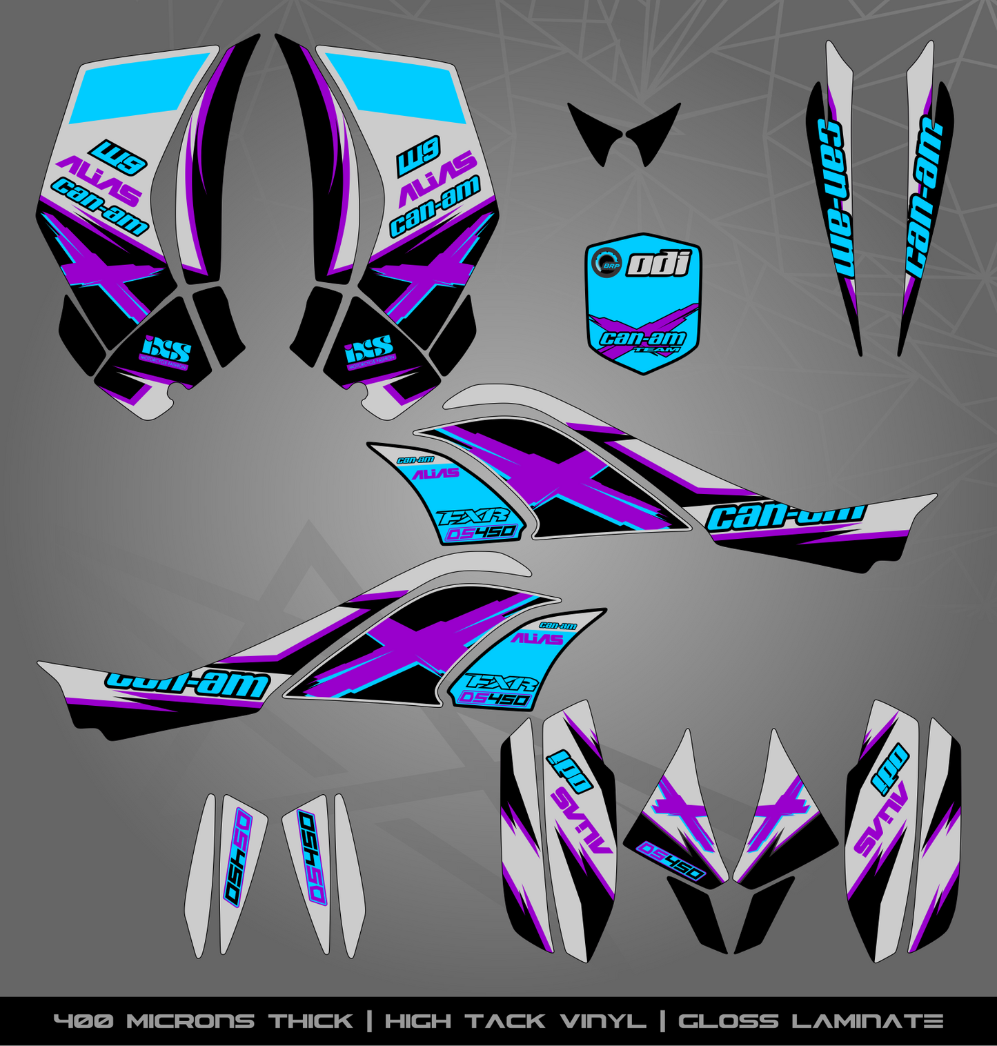 Full Sticker Kit for Can Am DS 450