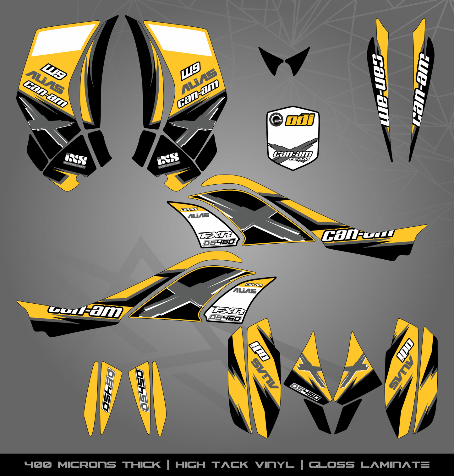 Full Sticker Kit for Can Am DS 450
